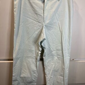 Banana Republic Light Blue Capris